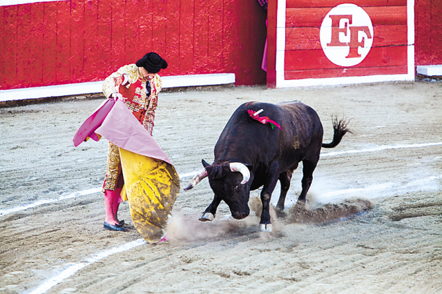 A matador uses his cape to lead the bull in a futile charge in Plaza de Toros, Mazatlan. (Courtesy Steve Haggerty/MCT)