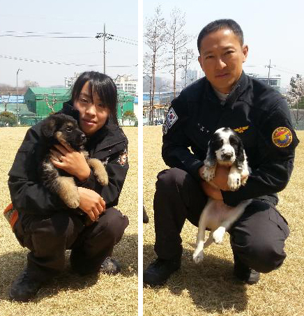 Two dogs cloned by former stem-cell scientist Hwang Woo-suk of the Sooam Biotech Research Foundation will be donated to the National 119 Rescue Service. (Yonhap News)