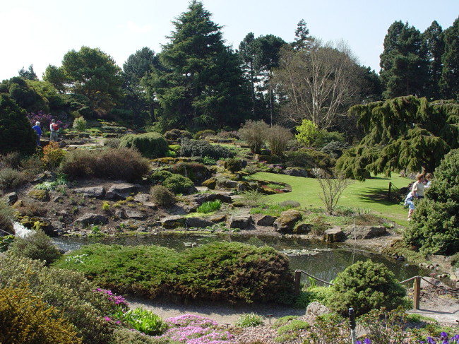 The Rock Garden in the Royal Botanic Garden Edinburgh in Scotland