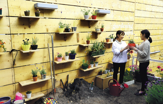 Customers at MO jain song can buy the plants grown at the store and take them home. (Park Hae-mook/The Korea Herald)