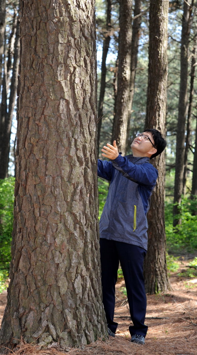 KFS Minister Shin Won-sop looks at a tree. (KFS)