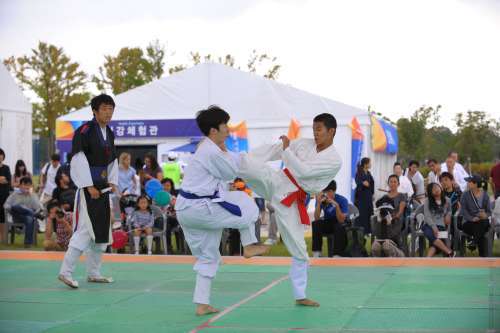 Contestants demonstrate Korean martial art taekkyeon at the Chungju World Martial Arts Festival in 2012. (Chungju City)
