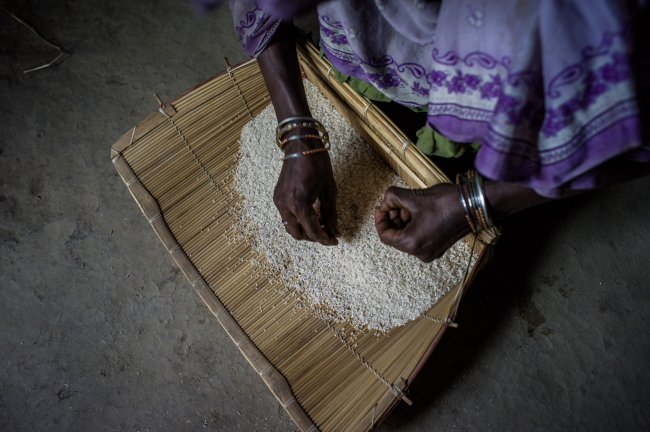 A woman cleans rice in the village of Paltupur, Uttar Pradesh, India. (Bloomberg)