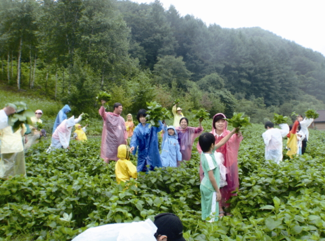 A group of travelers visit a farm at Garumae Village in Yangpyeong-gun, Gyeonggi Province, as part of the “Rural-20” program. (Modetour Network Inc)