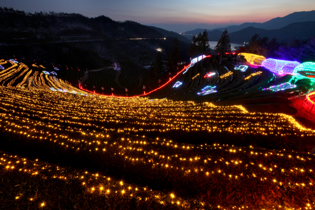 A view of the light display at Boseong green tea plantation during the 2012 Boseong Green Tea Light Festival. (Boseong County)