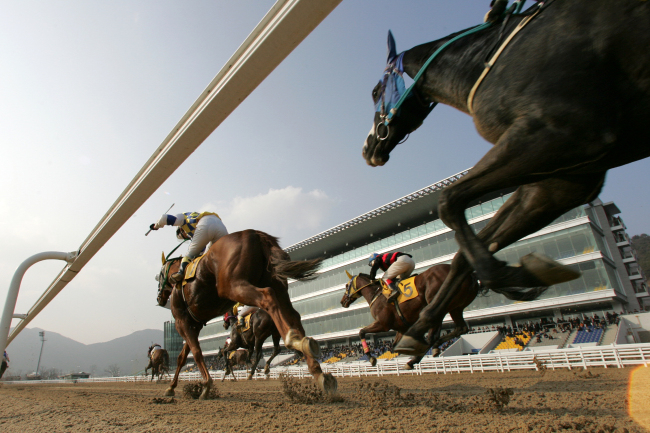 Racehorses compete at Seoul Race Park in Gwacheon, Gyeonggi Province. (KRA)