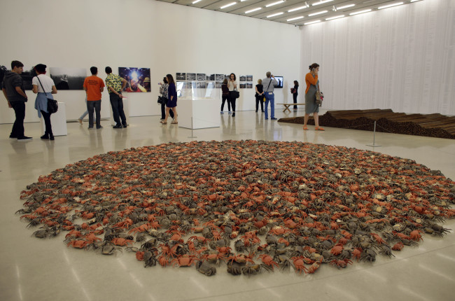 A piece by Chinese artist Ai Wei, titled “He Xie” featuring 3,200 porcelain crabs, is on display at the Perez Art Museum Miami in Miami. (AP-Yonhap News)