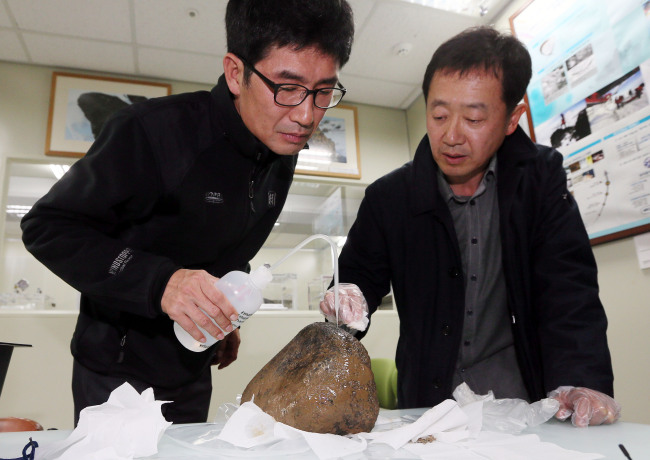 Lee Jong-ik (left), a geology director at the Korea Polar Research Institute, examines a recently discovered meteorite with Choi Byeon-gak, a professor of Earth Science Education at Seoul National University, at the KPRI on Thursday. The meteorite was found in Jinju, South Gyeongsang Province, March 10. (Yonhap)