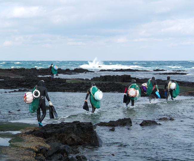 A group of haenyeo head to work carrying “tewak” and nets in the coastal village of Hado-ri on Jejudo Island. (Haenyeo Museum)