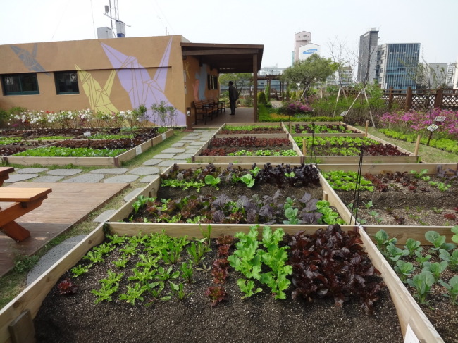 Rooftop garden (Gangnam District Office)