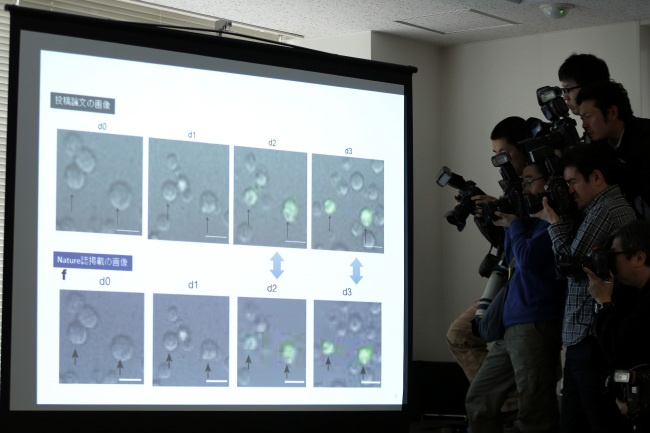 Photographers take pictures of images from an interim report on the research investigation into doubts about stem-cell findings in Tokyo. (Bloomberg)