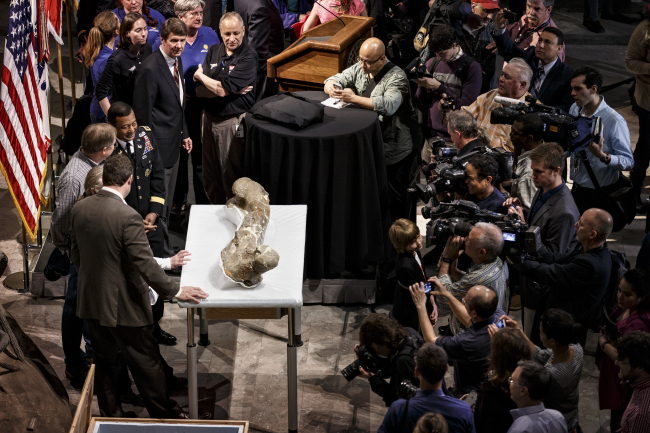 Fossilized bones of a T. rex are displayed at the Smithsonian Museum of Natural History on Tuesday. (AP-Yonhap)
