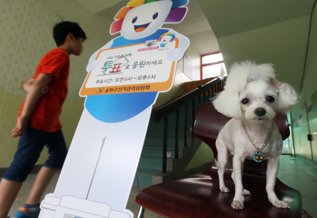                      A dog awaits its voting owner outside the voting room in Seoul, Wednesday.