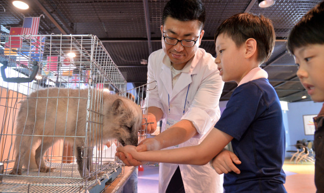 Children take a basic ballet class (top photo) and feed an artic fox (bottom photo) during the “Dream Big” program hosted by the Gwanak English Village in Seoul on Sunday. The English immersion institute is run by Herald Corporation. (Lee Sang-sub/The Korea Herald)