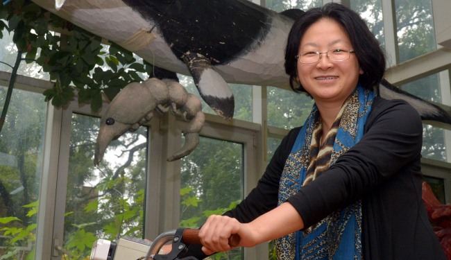 Maeng Ji-youn, a director of the Seoul-based Korean Federation for Environmental Movements, poses for a photo before an interview with The Korea Herald at her office in Seoul this week. (Kim Myung-sub/The Korea Herald)