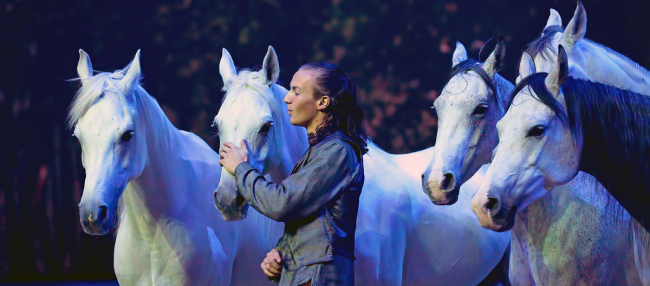 A horse whisperer instructs horses to stop, pose and run in circles around him. (Cavalia)