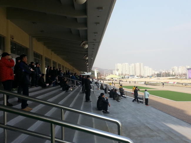 Heavy atmosphere at Seoul Racecourse Park in Gwacheon City