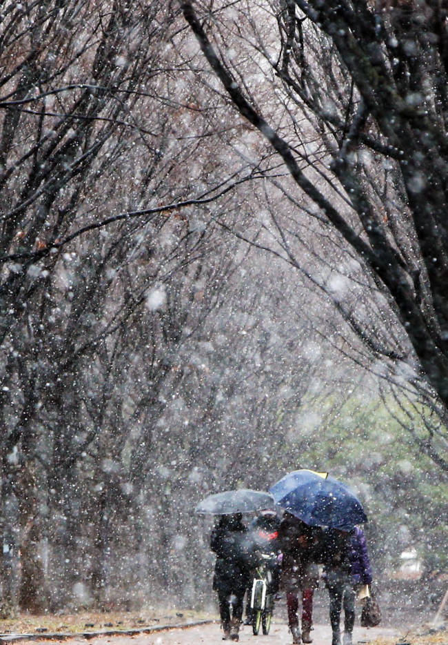 People walk through the snow in the central city of Daejeon on Monday. Cities including Seoul and Daejeon saw snow flurries on Monday morning. (Yonhap)