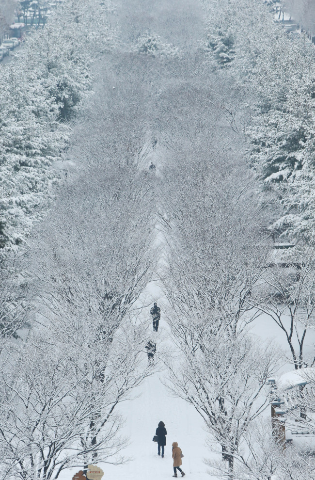 Citizens walk the snow-covered streets lined with trees in Daejeon on Monday. Heavy snow fell across the nation over the weekend and Daejeon saw 8 centimeters of snowfall overnight. (Yonhap)