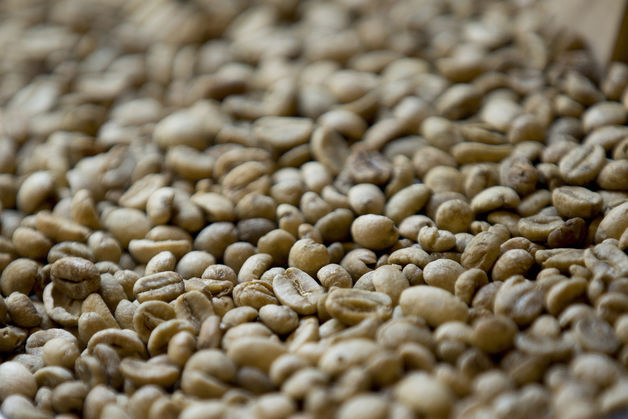 Coffee beans (Bloomberg)