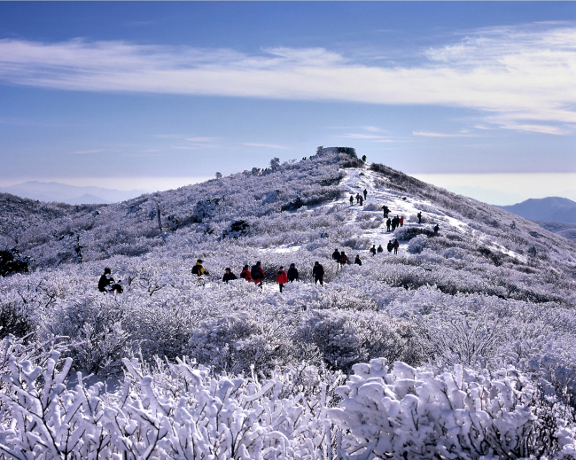 Snow-covered Mount Taebaeksan (Gangwon Provincial Government)