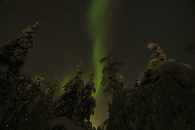 A breathtaking view of the aurora borealis in Lapland, Finland. (Julie Jackson/The Korea Herald)