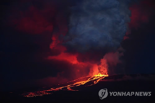 갈라파고스 '울프 화산' 33년 만에 폭발(갈라파고스 EPA=연합뉴스) 에콰도르 갈라파고스제도의 울프 화산이 25일(현지시간) 33년 만에 폭발했다. 이 화산에 서식하는 세계 유일의 분홍 이구아나는 서식지가 용암이 흐르는 방향과 반대쪽에 위치해 피해는 없을 것으로 보인다고 갈라파고스국립공원측이 밝혔다. 사진은 이날 용암과 불기둥을 뿜어내는 울프 화산의 모습. 2010596@yna.co.kr