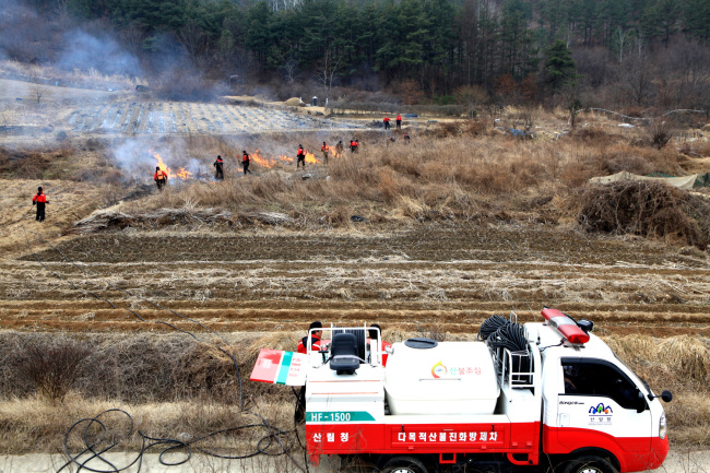 KFS officials participate in a rural community’s controlled burning of farmland in an effort to prevent forest fires. (KFS)
