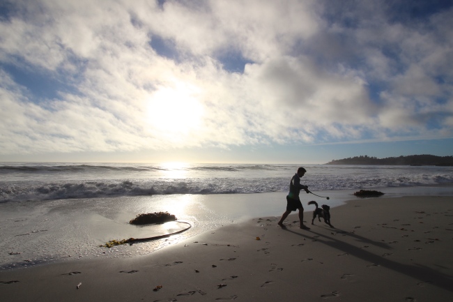 A picturesque scene from Carmel City Beach in Carmel, California. (Julie Jackson/The Korea Herald)