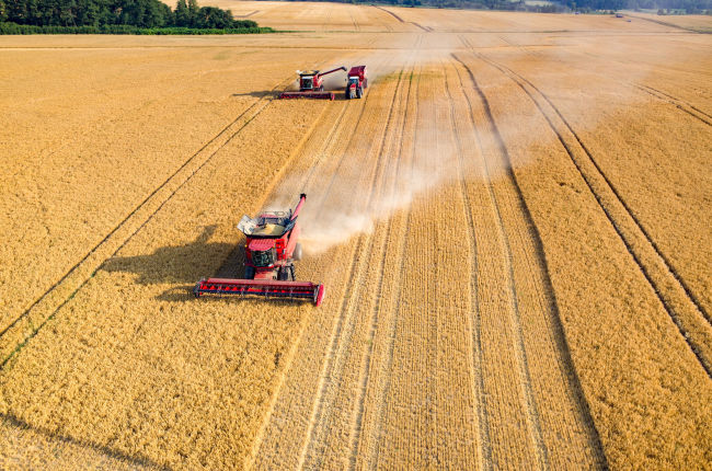 Aerial view on the combines and tractors working on the large wheat field. (123rf)