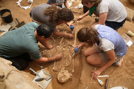 A team of foreign archaeologists extract skeletons at the excavation site of the first Philistine cemetery ever found on June 28 in the Mediterranean coastal Israeli city of Ashkelon. (AFP-Yonhap)