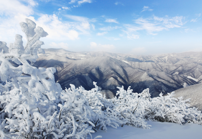 A scenic view of Gangwon Province’s snow-covered Taebaek Mountains (Ministry of Culture, Sports and Tourism)