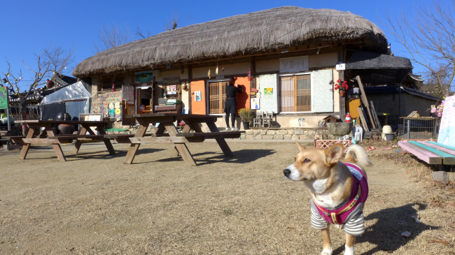 Hahoe Village in Andong, North Gyeongsang Province, Dec. 17. (Joel Lee/The Korea Herald)