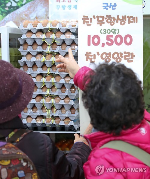 Housewives look at eggs at a supermarket in Seoul on Jan. 3, 2017. (Yonhap)