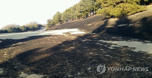 우병우 처가 소유 골프장 기흥CC 화재 '불 탄 잔디' (사진=연합뉴스)