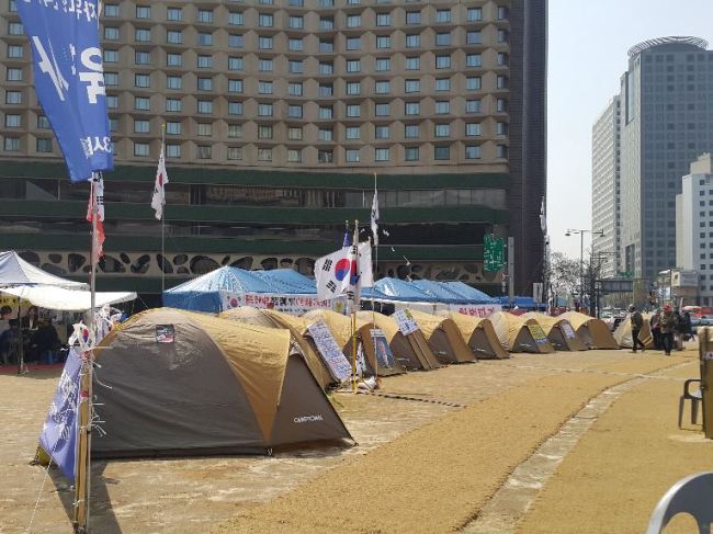 Pro-Park protest tents are pitched on Seoul Plaza in front of City Hall. (Jung Min-kyung/The Korea Herald)