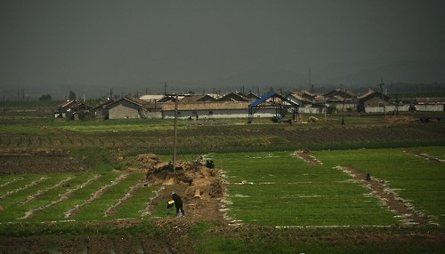 A North Korean farm village (Yonhap)