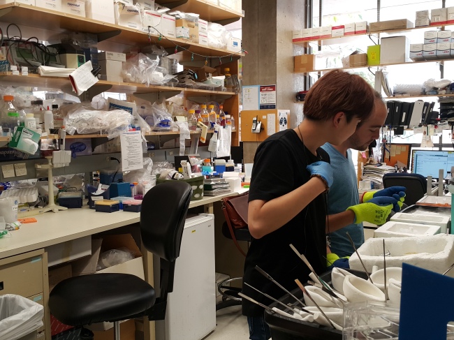 Scientists work inside the Salk Institute’s Regulatory Biology Laboratory, led by Satchin Panda (Sohn Ji-young/The Korea Herald)