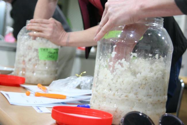 Mixing makgeolli during a brewing class at The Sool Company (The Sool Company)