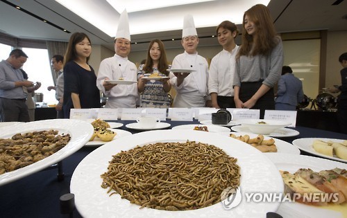 (연합뉴스 자료사진)