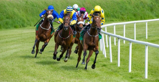 Three horses with jockeys racing on green turf racecourse