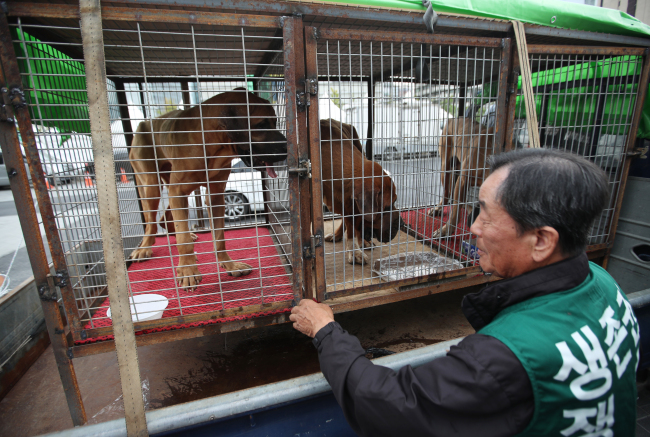 Unleashed dogs are inside cages during the dog meat farmers' protest in central Seoul, Friday. Yonhap