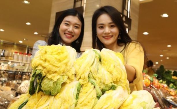 Models show salted cabbages for kimchi at Lotte Department Store in downtown Seoul on Oct. 26, 2017, in this photo provided by the store. (Yonhap)