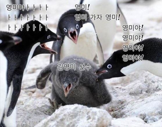 The center penguin, labeled Kim Yeong-mi, is being chastised to sweep by the other penguins. (Online community)