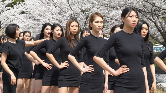 Students of Daeduk University’s Department of Model strut under cherry blossoms on Tuesday. (Lim Jeong-yeo/The Korea Herald)