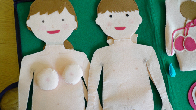 Lala School‘s sex education material depicts female and male bodies after puberty (Lim Jeong-yeo/The Korea Herald)