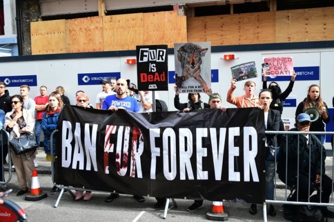 Activists calling for a ban on the use of animal fur, demonstrate outside the Victoria Beckham London Fashion Week SS19 show in London, Sunday Sept. 16. (AP)