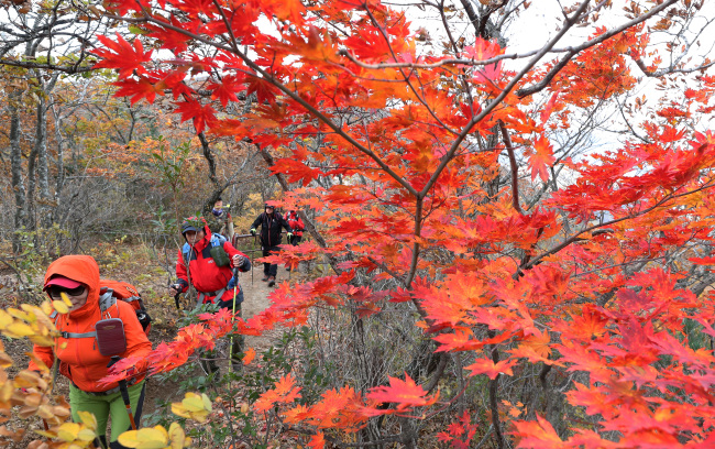 Hikers climb Seoraksan or Mount Seorak in Yangyang in South Korea`s northeastern province of Gangwon. (Yonhap)