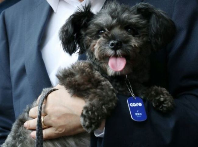 President Moon Jae-in adopted a black-coated dog named Tori from CARE in July 2017. (Cheong Wa Dae)