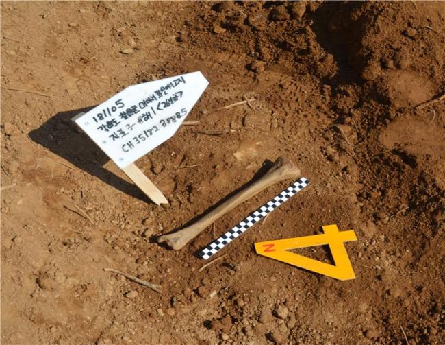 Remains discovered on Nov. 5. (Yonhap)